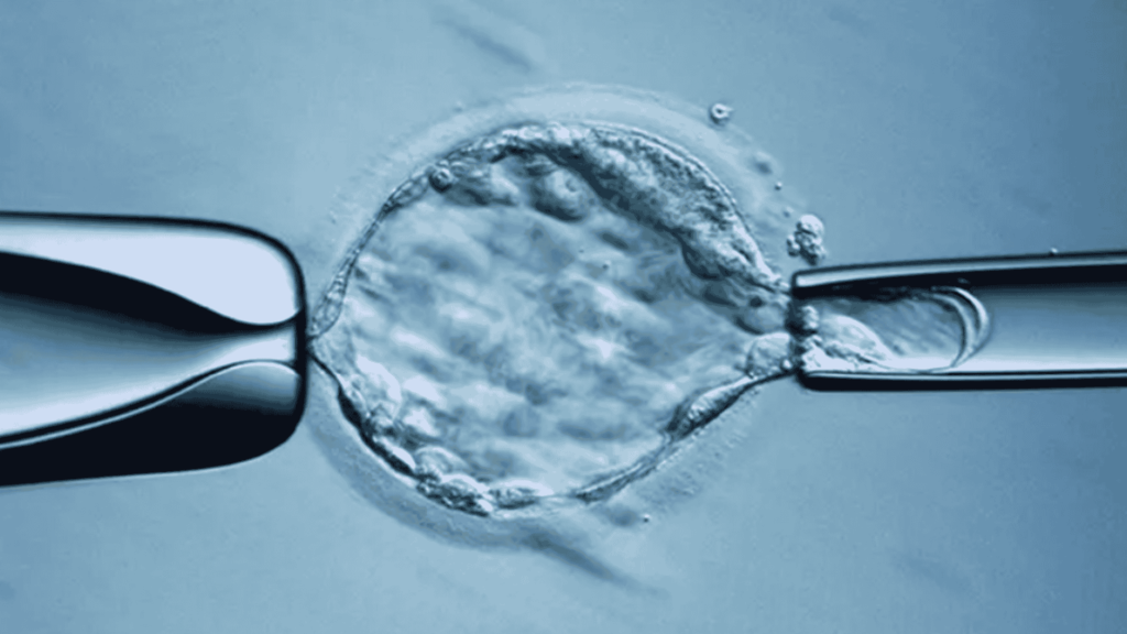 Is PGS Helpful In IVF?